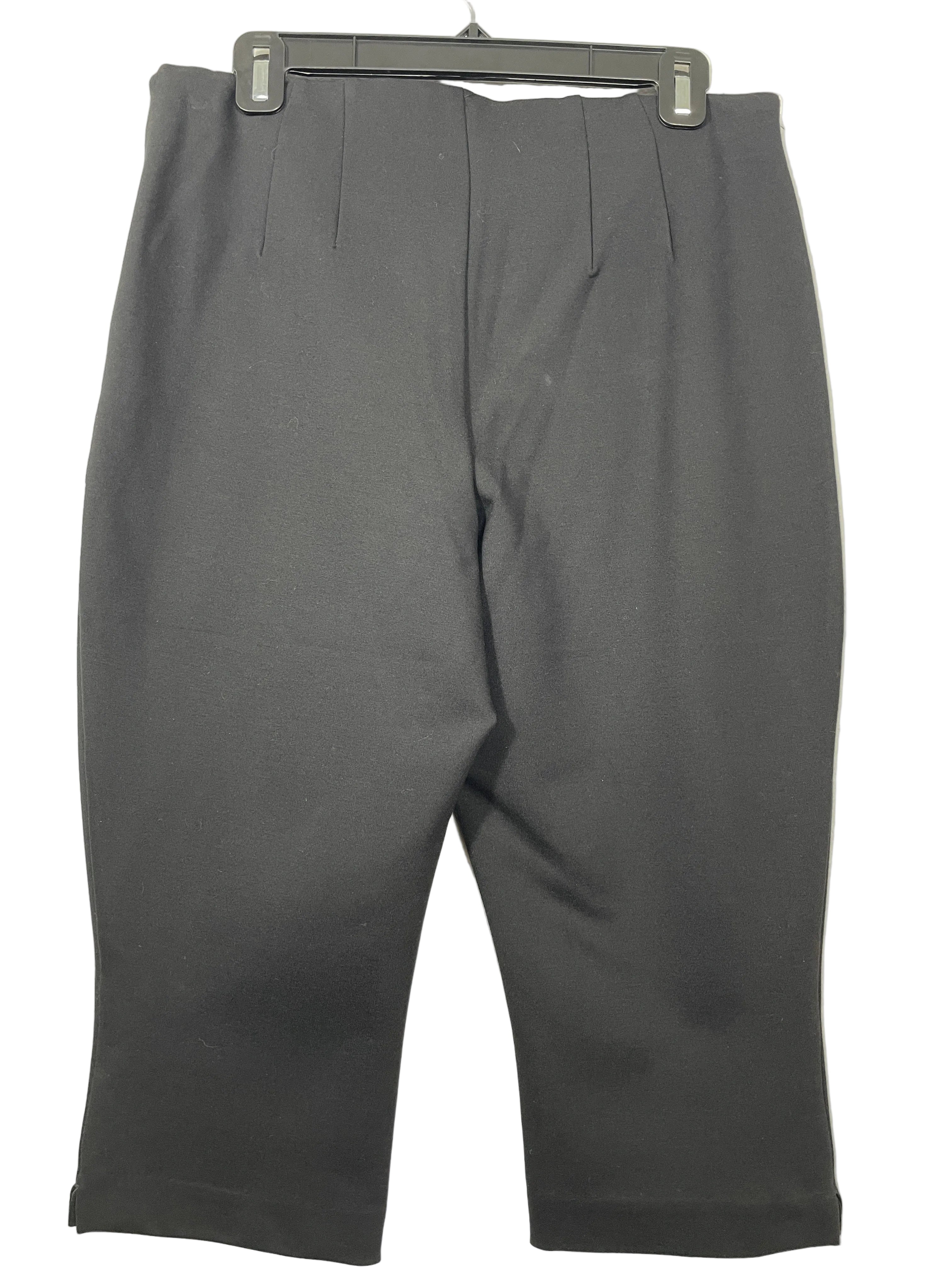 Size 12 Dynamite Liv Jet Black Capri Pants Back