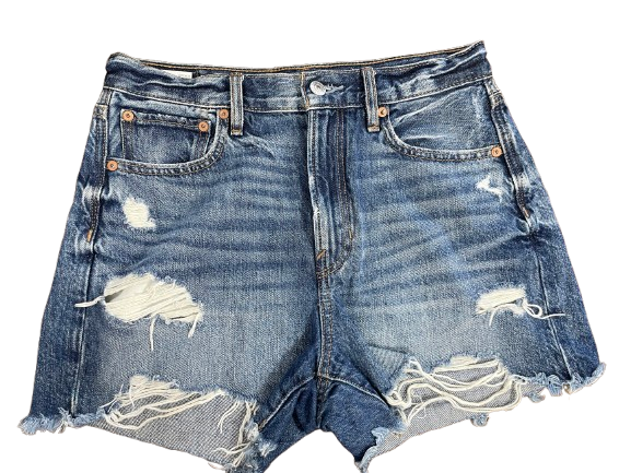 American Eagle size 4 90s Boyfriend distressed denim shorts front