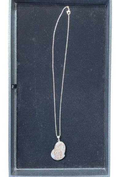 Silver necklace with a pendant on a black display box